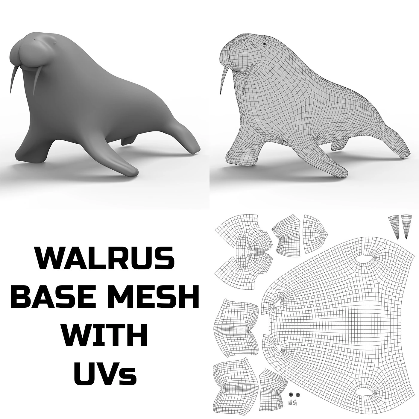 Walrus Base Mesh 3D Model .c4d .max .obj .3ds .fbx .stl .blend 