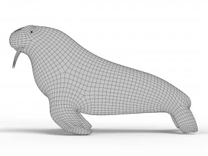 Walrus Base Mesh 3D Model
