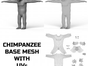 Chimpanzee Base Mesh 3D Model