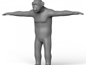 Chimpanzee Base Mesh 3D Model