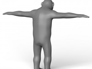 Chimpanzee Base Mesh 3D Model