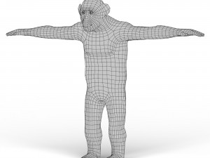 Chimpanzee Base Mesh 3D Model