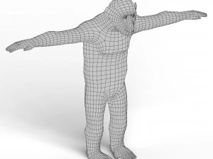 Chimpanzee Base Mesh 3D Model