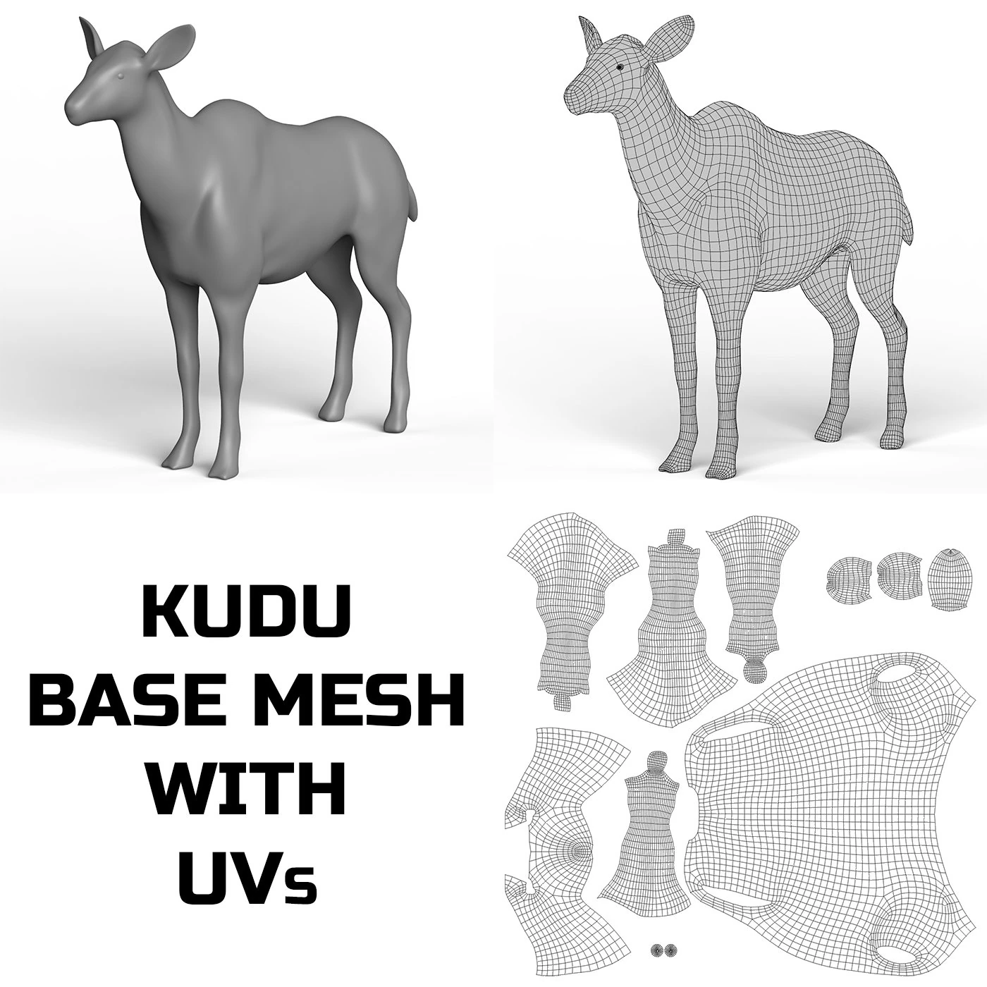 Kudu Base Mesh 3D Model .c4d .max .obj .3ds .fbx .stl .blend 