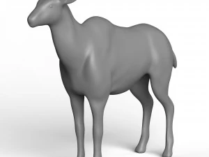 Kudu Base Mesh 3D Model