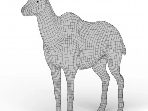Kudu Base Mesh 3D Model