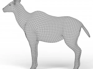Kudu Base Mesh 3D Model