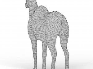 Kudu Base Mesh 3D Model