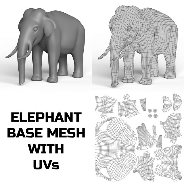 Elephant Base Mesh 3D Модель .c4d .max .obj .3ds .fbx .stl .blend 