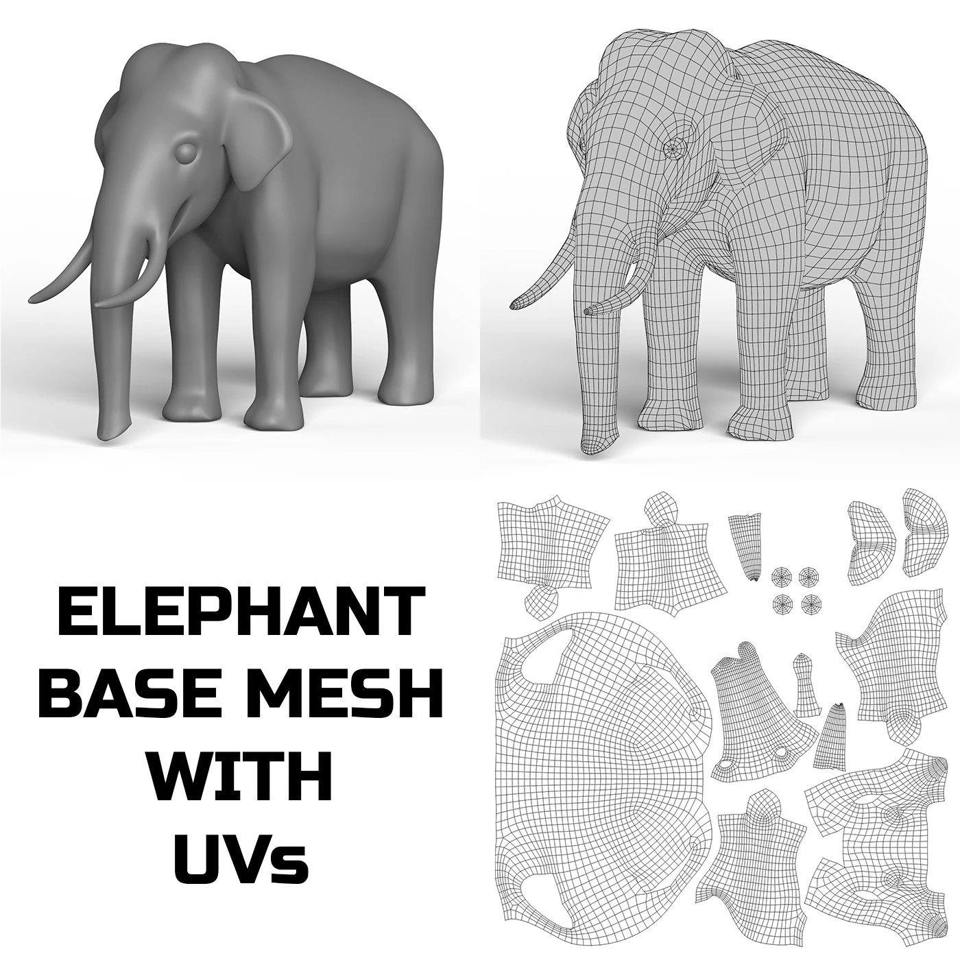 Maglia base elefante Modello 3D .c4d .max .obj .3ds .fbx .stl .blend 