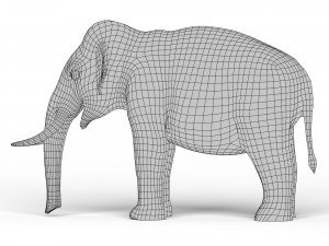 Elephant Base Mesh 3D Модель