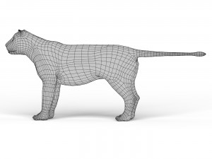 Lion Base Mesh 3D Модель