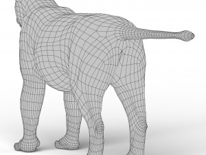 Lion Base Mesh 3D Модель