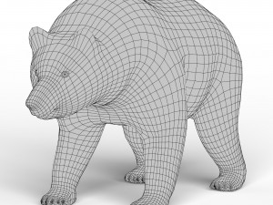 Bear Base Mesh 3D 模型
