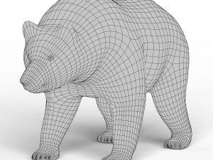 Bear Base Mesh 3D Model