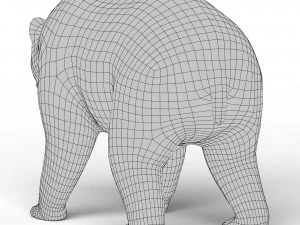 Bear Base Mesh 3D Model