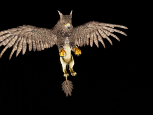 Griffin model 3D 模型