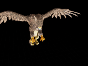 Griffin model 3D 模型