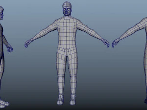 Avatar World 3D Model