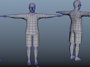 Avatar Humanoid Rigs 3D Модель