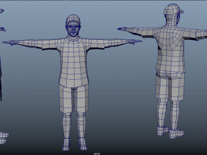 Avatar Humanoid Rigs 3D Модель