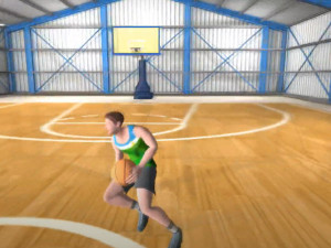 Basket Ball Animations Humanoid Model 3D