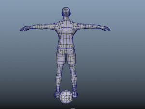 Basket Ball Animations Humanoid Model 3D