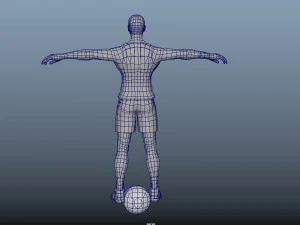 Basket Ball Animations Humanoid 3D Model
