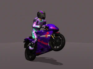 Bike Fight Animations HD 3D Model