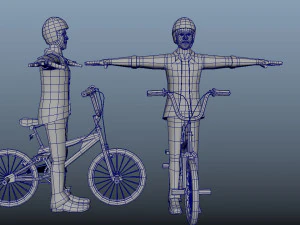 BMX Animations 3D Model