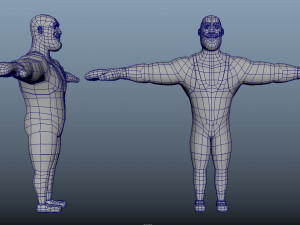 Boxer Animations Modelo 3D