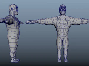 Boxer Animations 3D Model