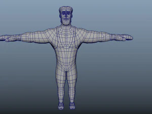 Boxer Animations 3D Model