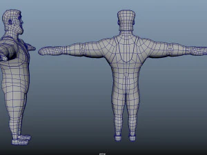 Boxer Animations 3D Model