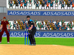 Cricket Animation Pack 3D Model