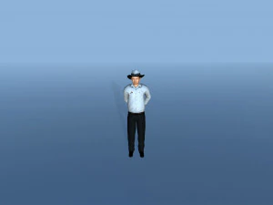 Cricket Animation Pack 3D Model