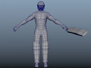 Cricket Animation Pack 3D Model