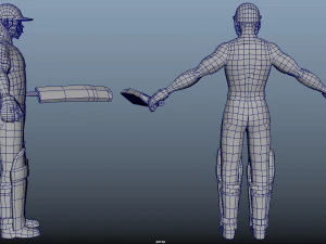 Cricket Animation Pack 3D Model