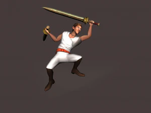 Dual Sword Fight 3D Model