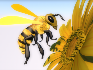 Bee Modello 3D