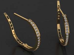 Earings Jewellry 3Dモデル