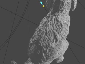 Maltese dog 3D Print Model