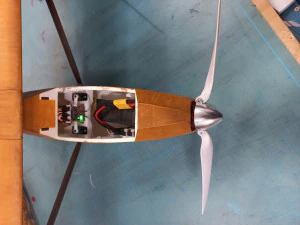 Schneider GRUNAU BABY iib R-C vintage glider wingspan 2000mm 3D Print Model