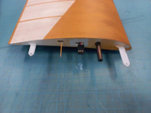 Schneider GRUNAU BABY iib R-C vintage glider wingspan 2000mm 3D Print Model