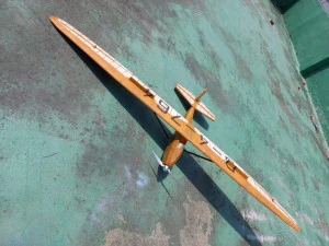 Schneider GRUNAU BABY iib R-C vintage glider wingspan 2000mm 3D Print Model