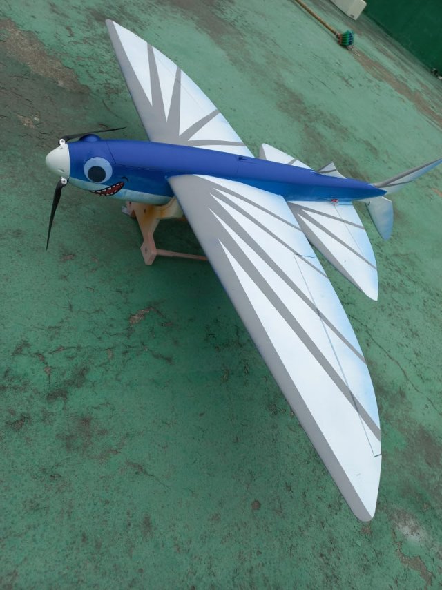 FUN FLY RC FLYING FISH GLIDER WINGSPAN 1078MM 3D Print Model .c4d .max .obj .3ds .fbx .stl .blend 