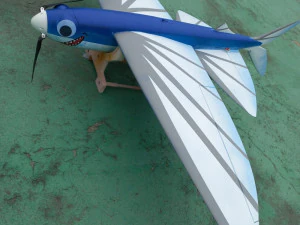 FUN FLY RC FLYING FISH GLIDER WINGSPAN 1078MM 3D Print Model