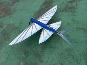 FUN FLY RC FLYING FISH GLIDER WINGSPAN 1078MM 3D Print Model