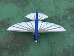 FUN FLY RC FLYING FISH GLIDER WINGSPAN 1078MM 3D Print Model