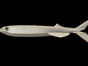 FUN FLY RC FLYING FISH GLIDER WINGSPAN 1078MM 3D Print Model